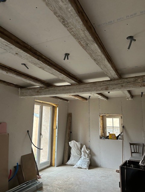 Al Platrerie And Co Placo Sarreguemines Galerie